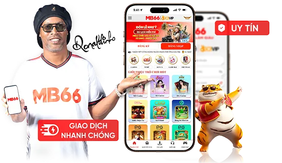 Banner đa dạng
